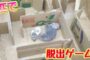 【動物】2018-07-09のランキング