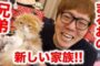 【動物】2018-09-16のランキング