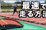 【スポーツ】2018-12-01のランキング