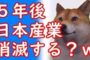 【動物】2019-08-07のランキング