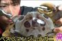 【動物】2017-05-05のランキング