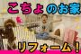 【動物】2020-01-14のランキング