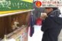 【動物】2020-02-15のランキング