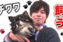 【動物】2020-04-22のランキング