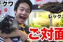 【動物】2020-05-05のランキング