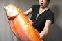 【動物】2020-08-16のランキング