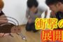 【動物】2017-08-08のランキング
