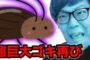 【動物】2017-08-12のランキング