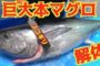 【ハウツー】2017-09-30のランキング