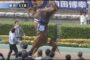 【動物】2018-05-11のランキング